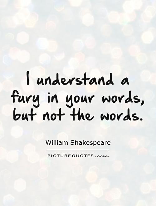 I understand a fury in your words, but not the words Picture Quote #1