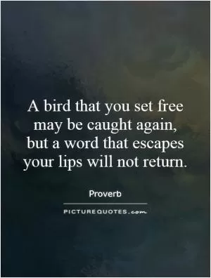 A bird that you set free may be caught again, but a word that escapes your lips will not return Picture Quote #1