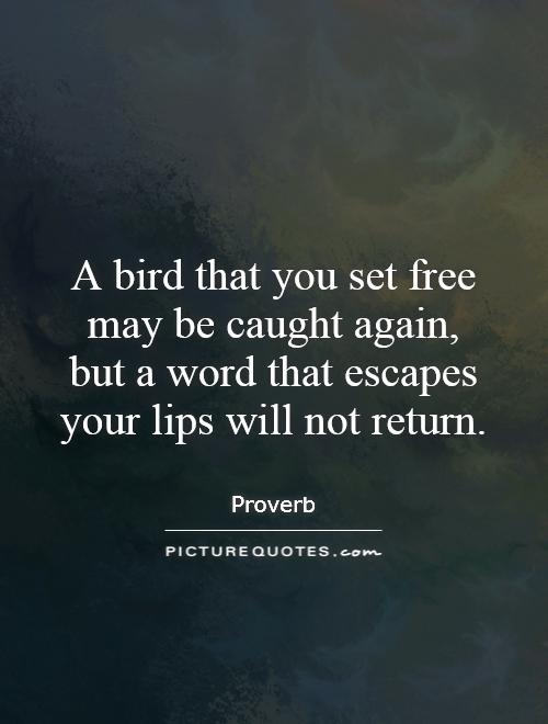 A bird that you set free may be caught again, but a word that escapes your lips will not return Picture Quote #1