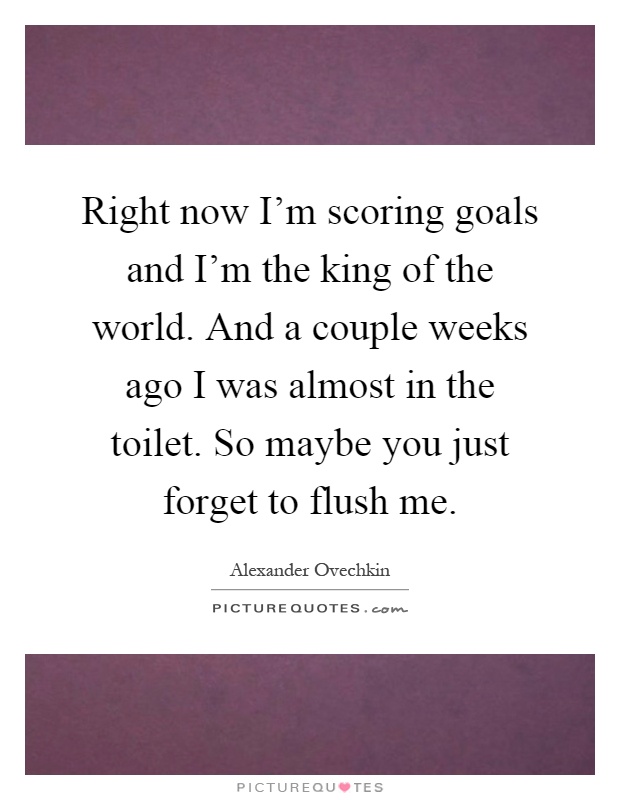 Right now I'm scoring goals and I'm the king of the world. And a couple weeks ago I was almost in the toilet. So maybe you just forget to flush me Picture Quote #1