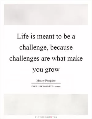 Life is meant to be a challenge, because challenges are what make you grow Picture Quote #1