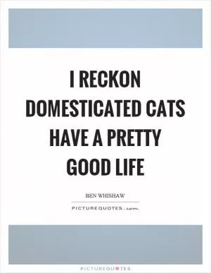 I reckon domesticated cats have a pretty good life Picture Quote #1