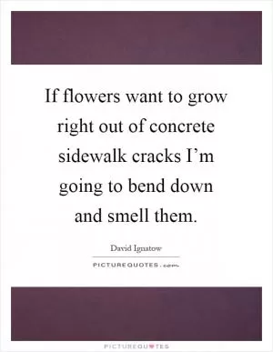 If flowers want to grow right out of concrete sidewalk cracks I’m going to bend down and smell them Picture Quote #1