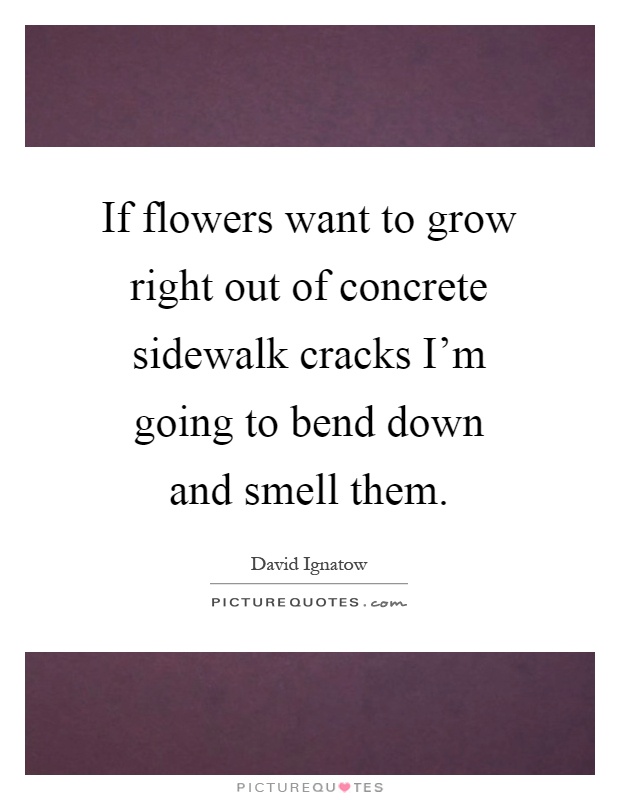 If flowers want to grow right out of concrete sidewalk cracks I'm going to bend down and smell them Picture Quote #1