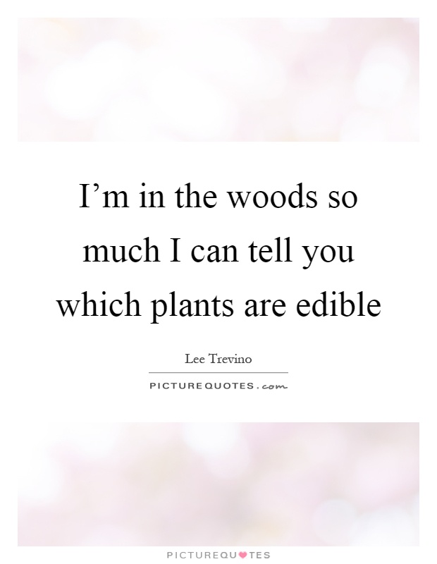 I'm in the woods so much I can tell you which plants are edible Picture Quote #1