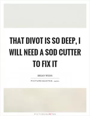 That divot is so deep, I will need a sod cutter to fix it Picture Quote #1