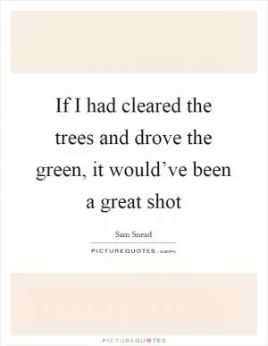 If I had cleared the trees and drove the green, it would’ve been a great shot Picture Quote #1