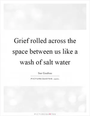 Grief rolled across the space between us like a wash of salt water Picture Quote #1