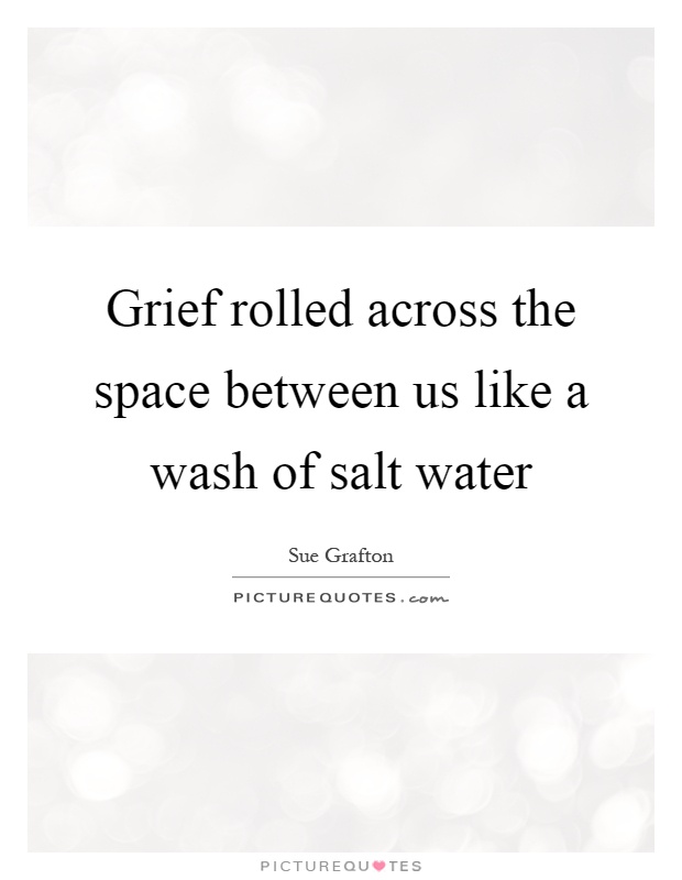 Grief rolled across the space between us like a wash of salt water Picture Quote #1