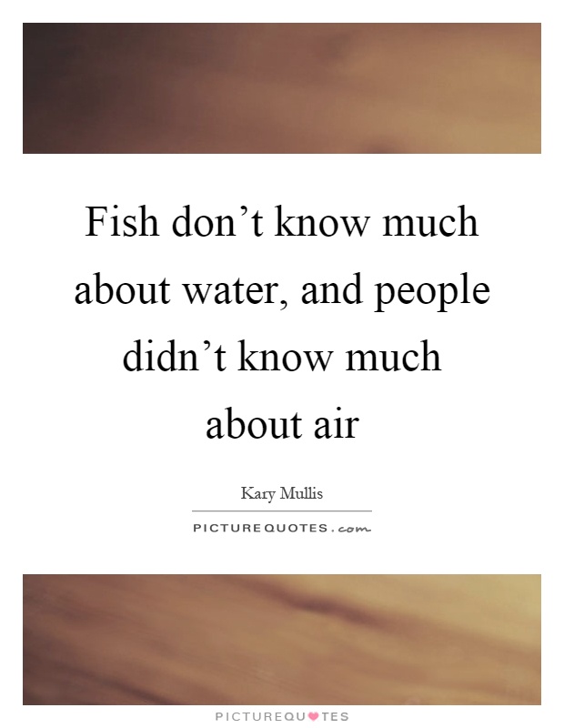 Fish don't know much about water, and people didn't know much about air Picture Quote #1