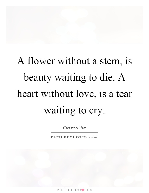 A flower without a stem, is beauty waiting to die. A heart without love, is a tear waiting to cry Picture Quote #1
