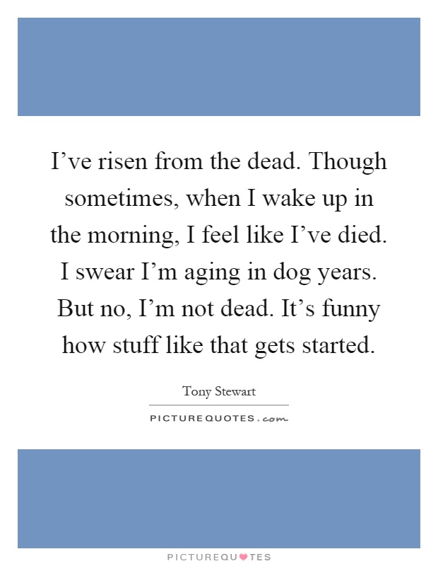 I've risen from the dead. Though sometimes, when I wake up in the morning, I feel like I've died. I swear I'm aging in dog years. But no, I'm not dead. It's funny how stuff like that gets started Picture Quote #1