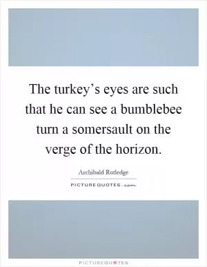 The turkey’s eyes are such that he can see a bumblebee turn a somersault on the verge of the horizon Picture Quote #1