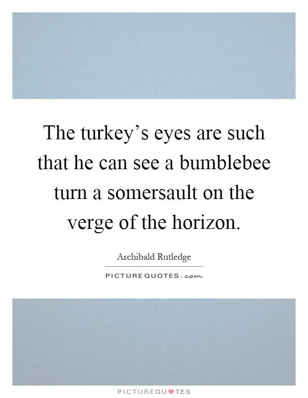 The turkey's eyes are such that he can see a bumblebee turn a somersault on the verge of the horizon Picture Quote #1