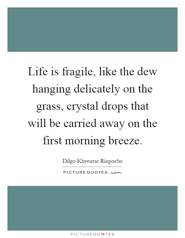 Life is fragile, like the dew hanging delicately on the grass, crystal drops that will be carried away on the first morning breeze Picture Quote #1