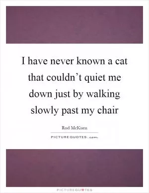I have never known a cat that couldn’t quiet me down just by walking slowly past my chair Picture Quote #1