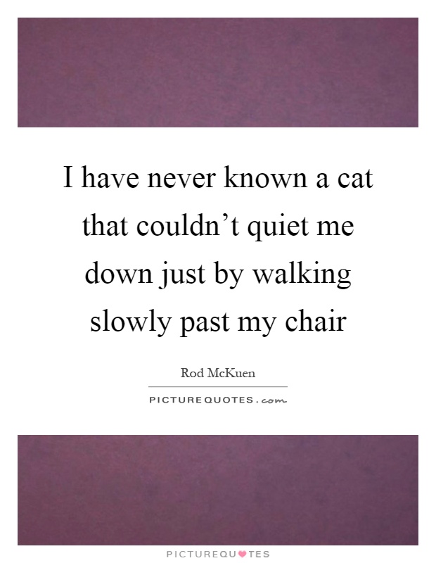 I have never known a cat that couldn't quiet me down just by walking slowly past my chair Picture Quote #1