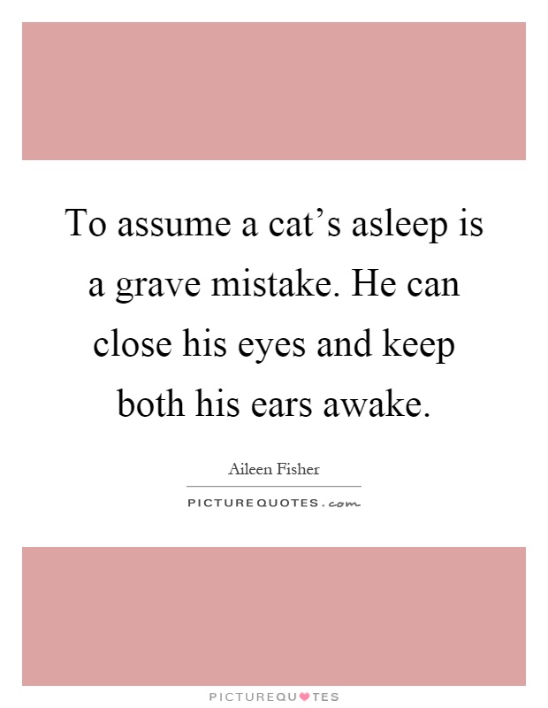 To assume a cat's asleep is a grave mistake. He can close his eyes and keep both his ears awake Picture Quote #1