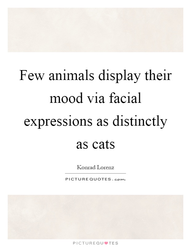 Few animals display their mood via facial expressions as distinctly as cats Picture Quote #1