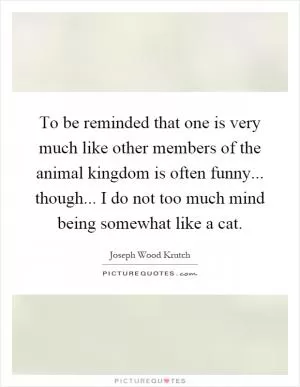 To be reminded that one is very much like other members of the animal kingdom is often funny... though... I do not too much mind being somewhat like a cat Picture Quote #1