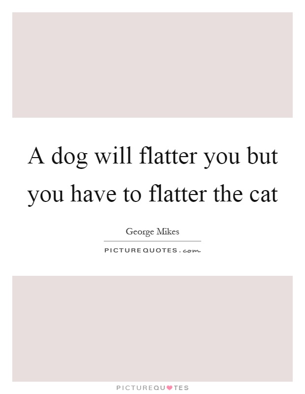 A dog will flatter you but you have to flatter the cat Picture Quote #1