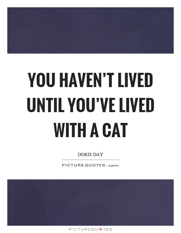 You haven't lived until you've lived with a cat Picture Quote #1