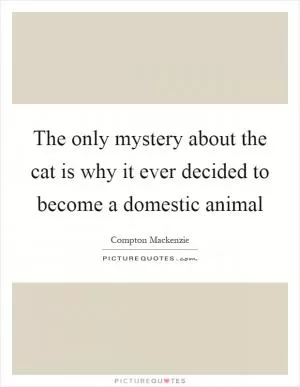 The only mystery about the cat is why it ever decided to become a domestic animal Picture Quote #1