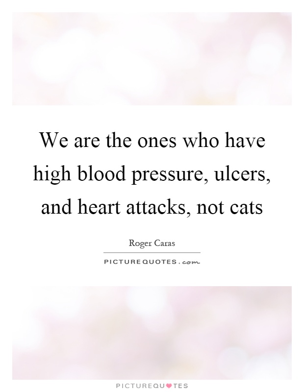 We are the ones who have high blood pressure, ulcers, and heart attacks, not cats Picture Quote #1