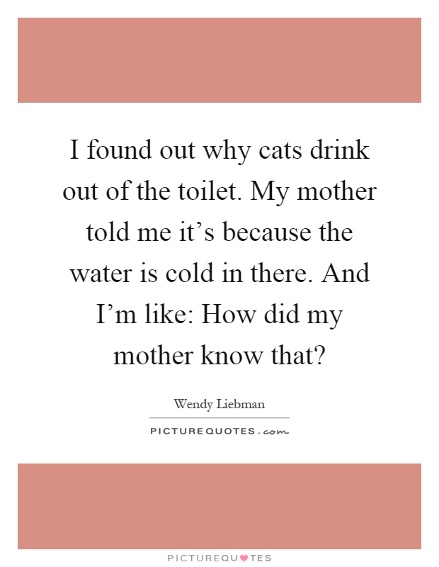 I found out why cats drink out of the toilet. My mother told me it's because the water is cold in there. And I'm like: How did my mother know that? Picture Quote #1