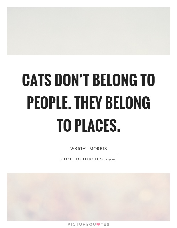 Cats don't belong to people. They belong to places Picture Quote #1
