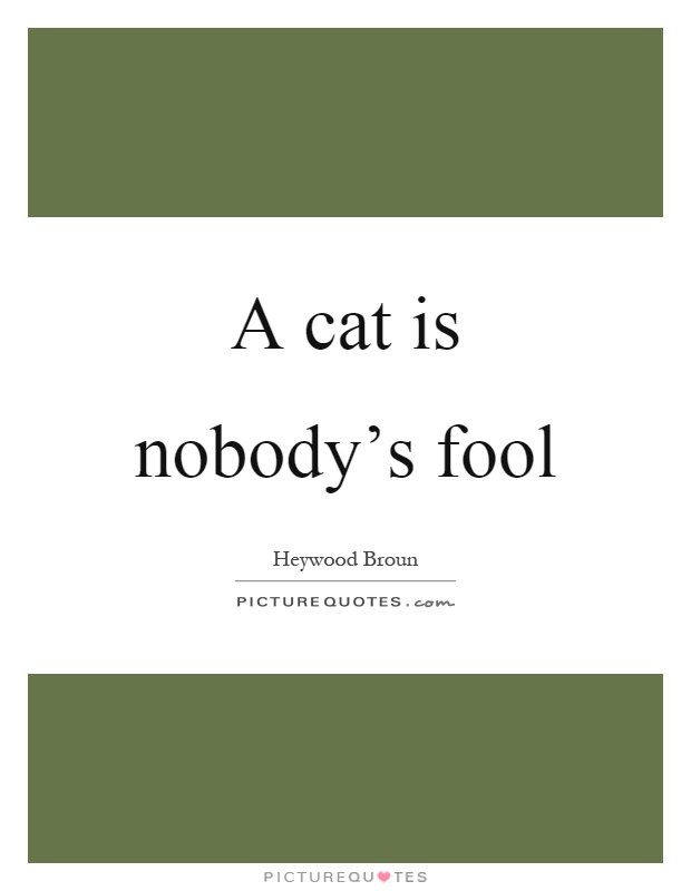 A cat is nobody's fool Picture Quote #1