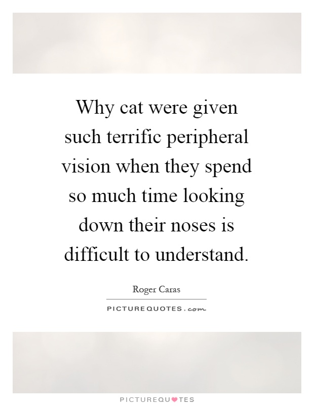 Why cat were given such terrific peripheral vision when they spend so much time looking down their noses is difficult to understand Picture Quote #1
