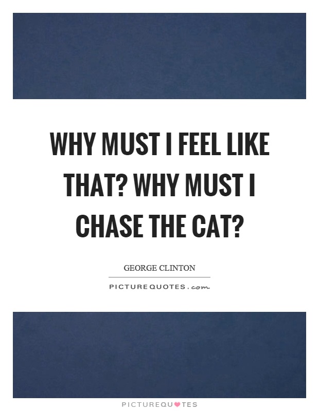 Why must I feel like that? Why must I chase the cat? Picture Quote #1