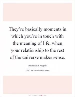 They’re basically moments in which you’re in touch with the meaning of life, when your relationship to the rest of the universe makes sense Picture Quote #1