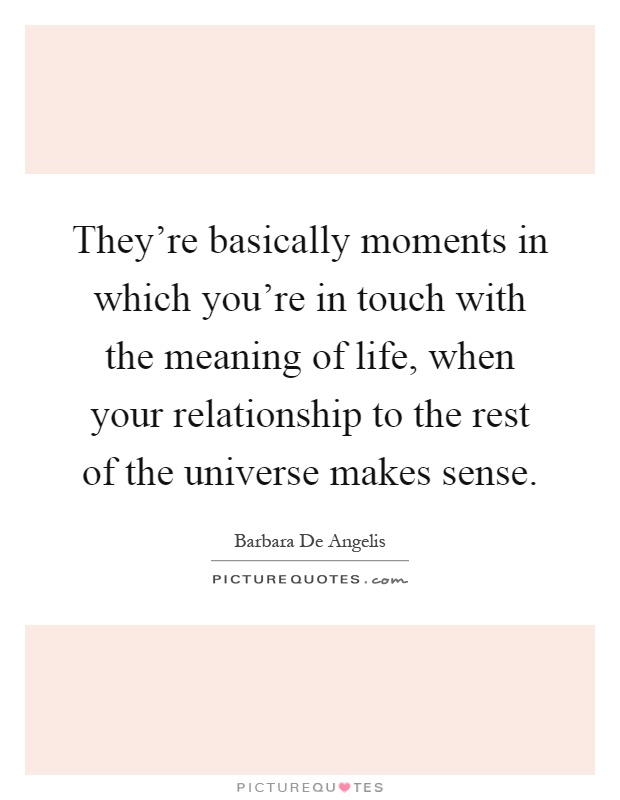 They're basically moments in which you're in touch with the meaning of life, when your relationship to the rest of the universe makes sense Picture Quote #1