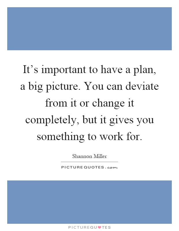 It's important to have a plan, a big picture. You can deviate from it or change it completely, but it gives you something to work for Picture Quote #1
