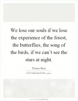 We lose our souls if we lose the experience of the forest, the butterflies, the song of the birds, if we can’t see the stars at night Picture Quote #1