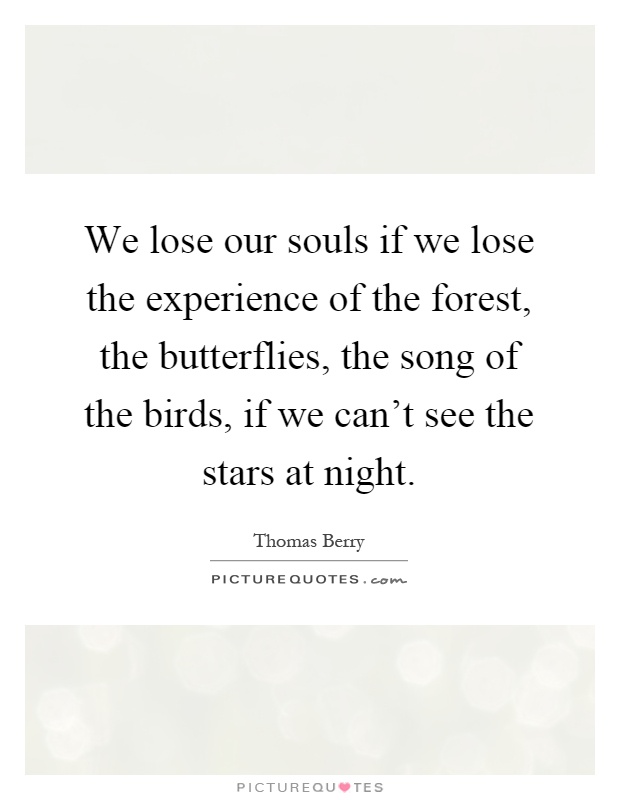 We lose our souls if we lose the experience of the forest, the butterflies, the song of the birds, if we can't see the stars at night Picture Quote #1