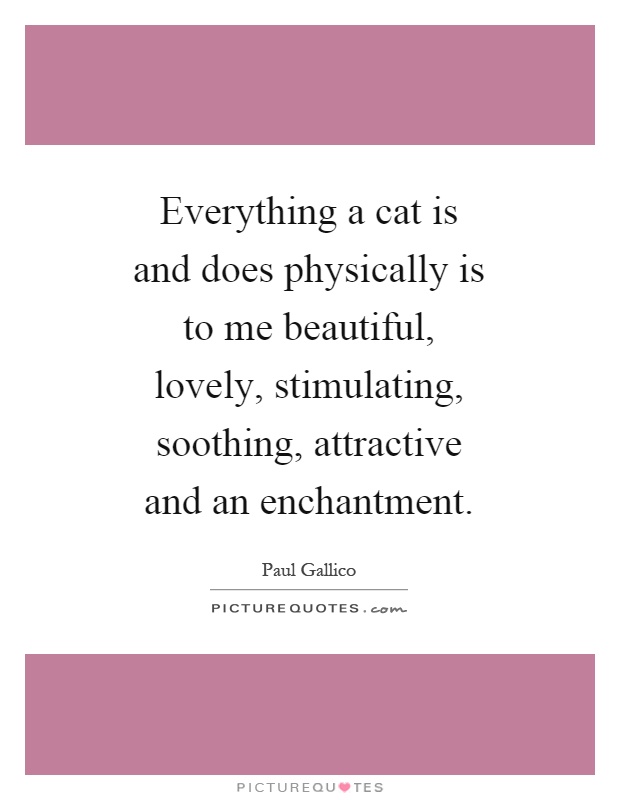 Everything a cat is and does physically is to me beautiful, lovely, stimulating, soothing, attractive and an enchantment Picture Quote #1