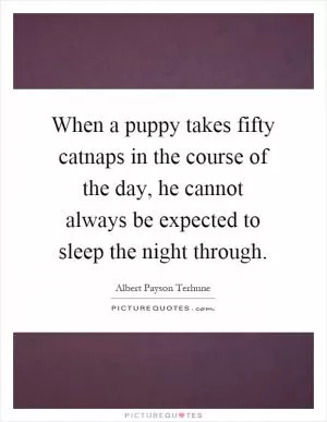 When a puppy takes fifty catnaps in the course of the day, he cannot always be expected to sleep the night through Picture Quote #1
