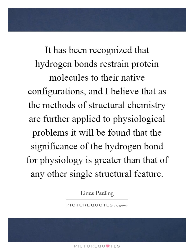 It has been recognized that hydrogen bonds restrain protein molecules to their native configurations, and I believe that as the methods of structural chemistry are further applied to physiological problems it will be found that the significance of the hydrogen bond for physiology is greater than that of any other single structural feature Picture Quote #1