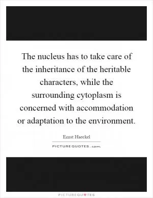 The nucleus has to take care of the inheritance of the heritable characters, while the surrounding cytoplasm is concerned with accommodation or adaptation to the environment Picture Quote #1