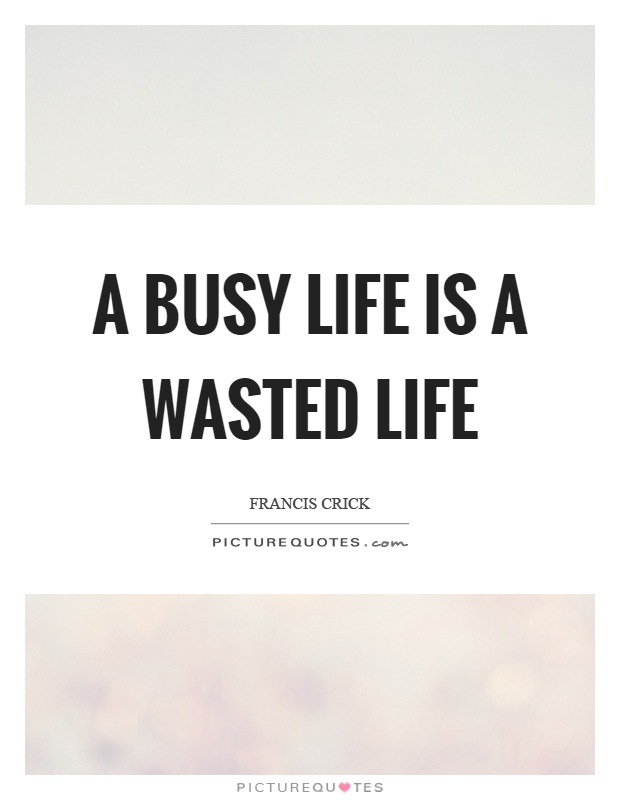 A busy life is a wasted life Picture Quote #1