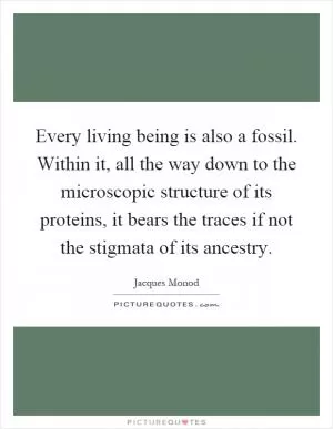 Every living being is also a fossil. Within it, all the way down to the microscopic structure of its proteins, it bears the traces if not the stigmata of its ancestry Picture Quote #1
