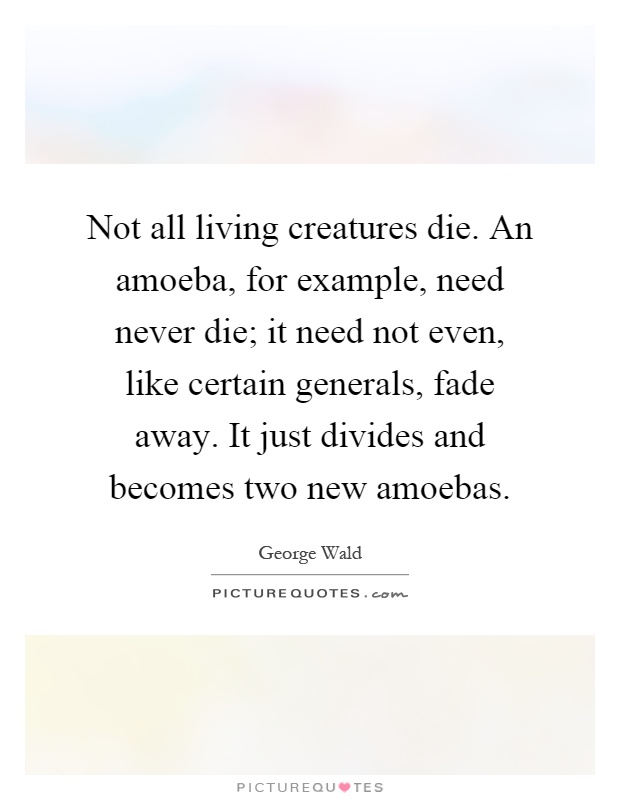 Not all living creatures die. An amoeba, for example, need never die; it need not even, like certain generals, fade away. It just divides and becomes two new amoebas Picture Quote #1
