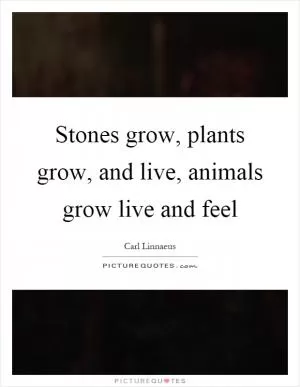 Stones grow, plants grow, and live, animals grow live and feel Picture Quote #1