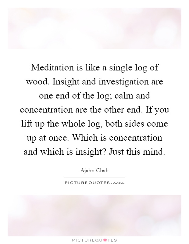 Meditation is like a single log of wood. Insight and investigation are one end of the log; calm and concentration are the other end. If you lift up the whole log, both sides come up at once. Which is concentration and which is insight? Just this mind Picture Quote #1