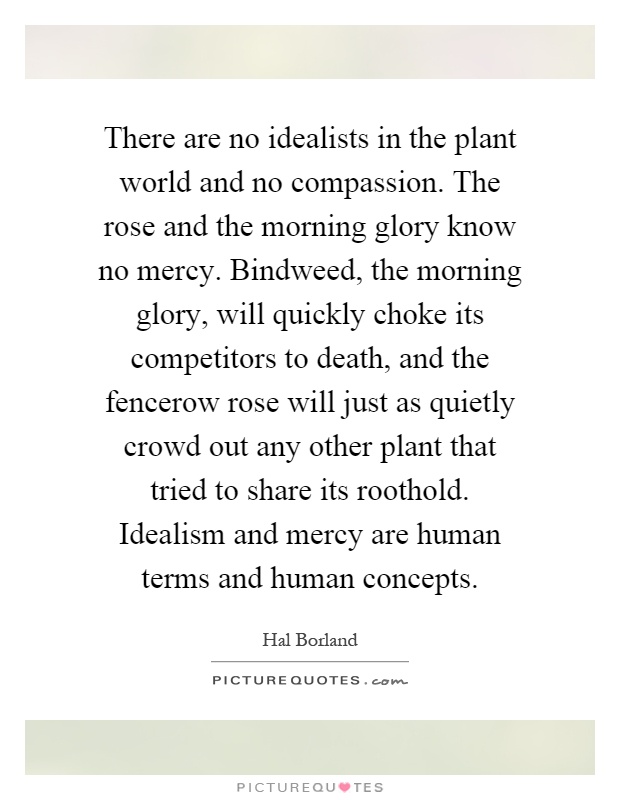 There are no idealists in the plant world and no compassion. The rose and the morning glory know no mercy. Bindweed, the morning glory, will quickly choke its competitors to death, and the fencerow rose will just as quietly crowd out any other plant that tried to share its roothold. Idealism and mercy are human terms and human concepts Picture Quote #1