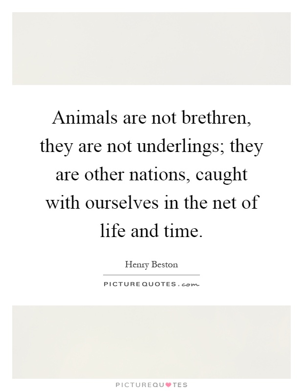Animals are not brethren, they are not underlings; they are other nations, caught with ourselves in the net of life and time Picture Quote #1
