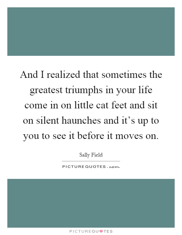 And I realized that sometimes the greatest triumphs in your life come in on little cat feet and sit on silent haunches and it's up to you to see it before it moves on Picture Quote #1